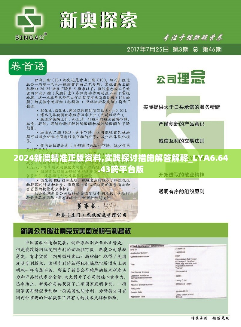 探索新澳正版免费大全，实用释义解释与落实策略