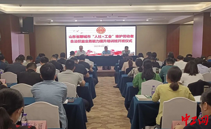 新澳门精准四肖期期准，全面贯彻解释落实的重要性与策略
