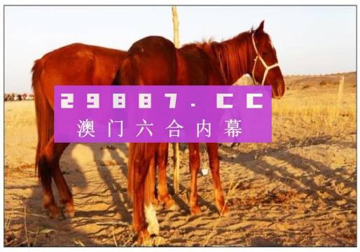 澳门特马今晚开奖49图片，开奖背后的实用释义与解释落实
