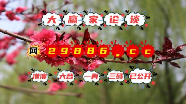 澳门最准一肖一码一码孑，词语释义与警惕相关风险