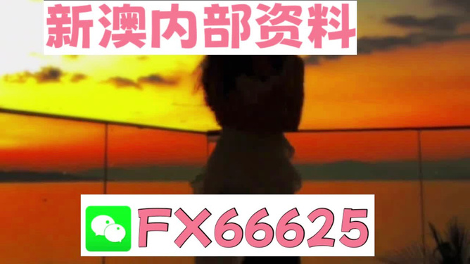 管家最准一码一肖100，全面释义、解释与落实