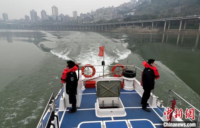 关于精准免费四肖与词语释义解释落实的探讨