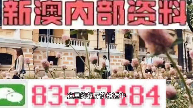 新澳门最精准正最精准龙门，全面解析与贯彻实施