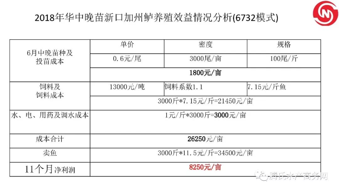 澳门一码一码100准确张子睿，全面贯彻解释落实的重要性与策略