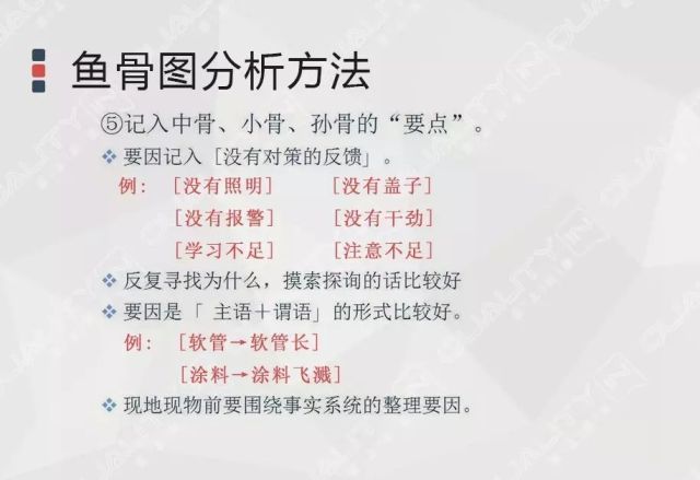 澳门一码一肖一特一中详解，实用释义与落实策略