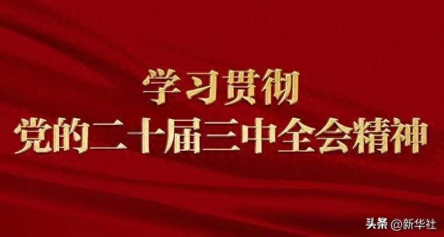 全面贯彻落实，探索与深化理解2025天天开彩资料大全