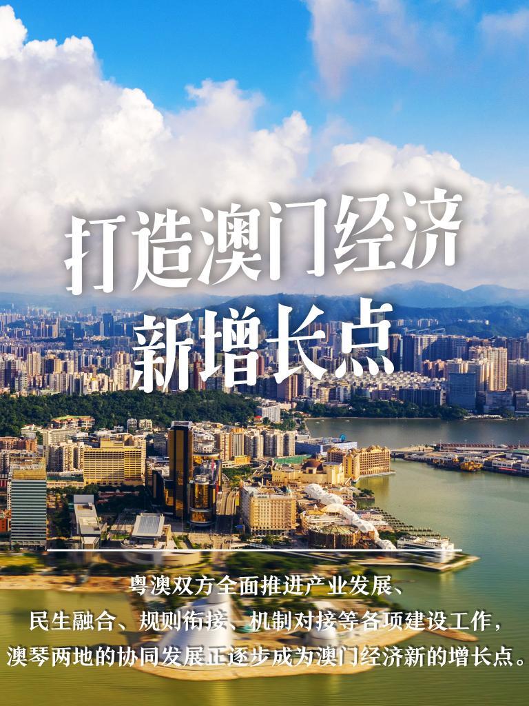 探索澳门正版免费大全，实用释义解释落实与未来的展望（2025年视角）