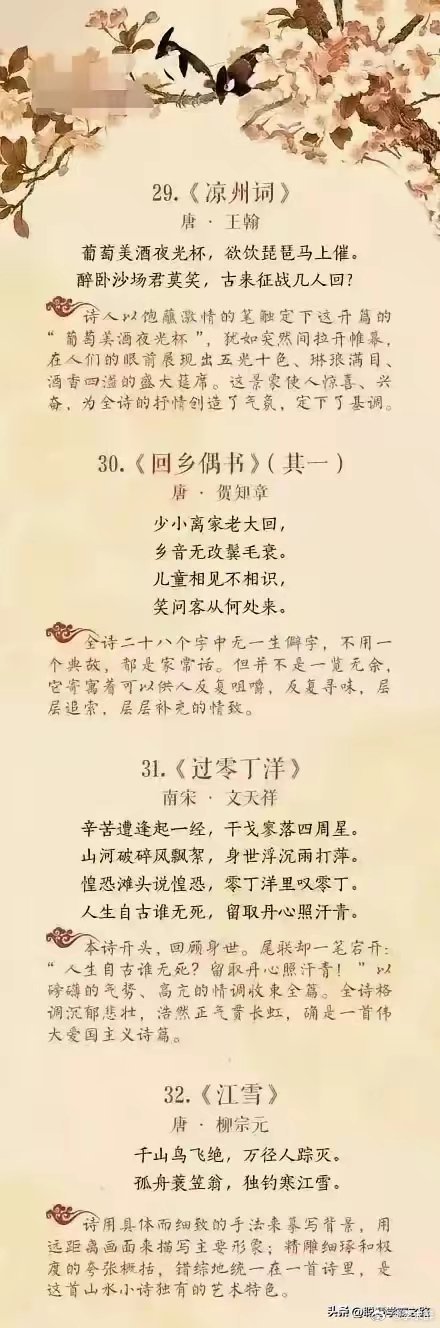 白小姐449999精准一句诗，深入解读与全面释义