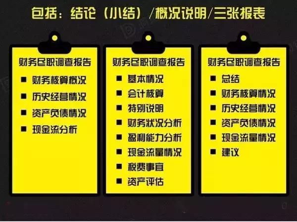 王中王资料大全，深度解析与词语释义
