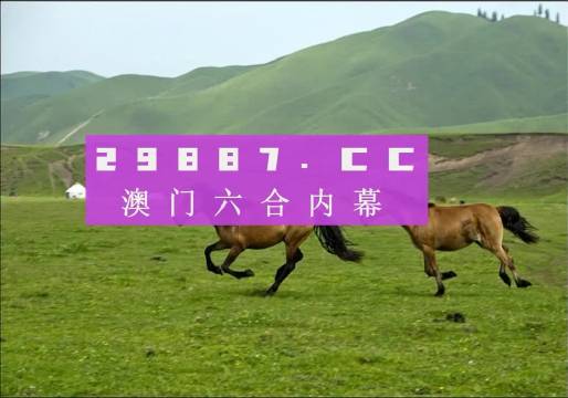 新澳门天天彩期期精准龙门客栈，解析与精选解释
