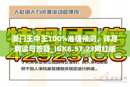 澳门王中王100%正确答案最新章节与精选解析，落实解释的重要性