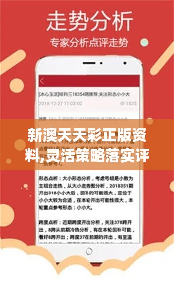 探索澳彩资料查询的奥秘，优势、精选解析与落实策略