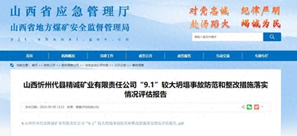 澳门一肖一码一一特一中厂与精选解析，深度解读与落实策略