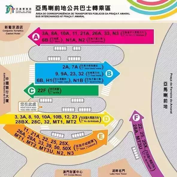 澳门特马今晚开，全面贯彻解释落实的重要性与策略分析