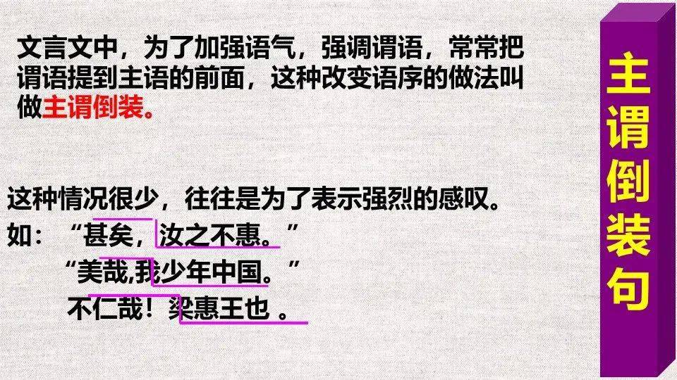 探索濠江论坛，词语释义与落实的重要性