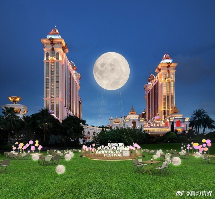 澳门今晚必开一肖期期，深度解读与实时释义解释落实