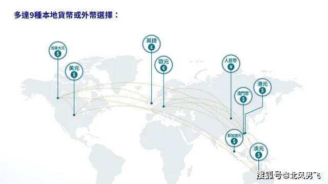 最准一码一肖，揭秘预测背后的逻辑与实践释义解释落实之道