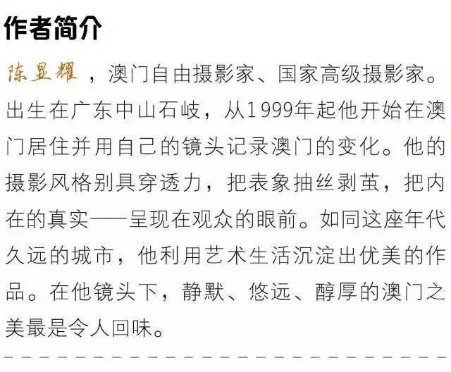 新澳门免费资料大全历史记录查询，广告释义解释与落实探究