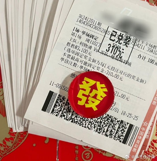 婆家一肖一码100，长远释义与落实策略