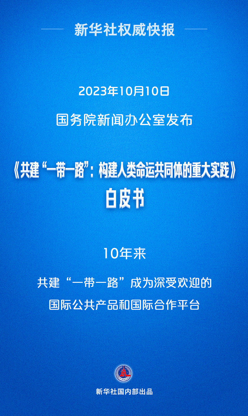 新奥彩正版免费资料查询，人定释义解释落实的重要性