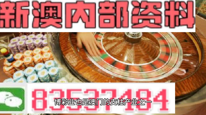 澳门正版资料免费精准，优秀释义与落实行动的重要性