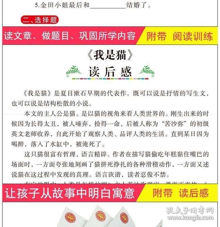 新闻资讯 第172页