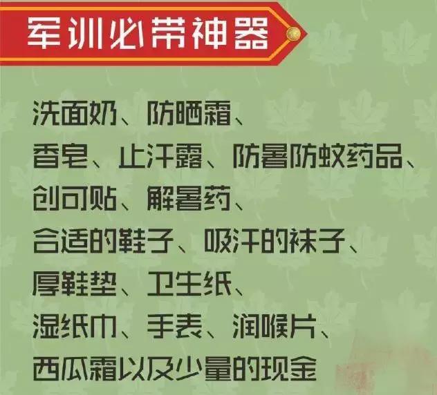 揭秘澳彩秘籍，绝招释义与资料大全的落实策略