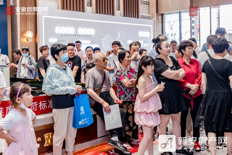 探索彩票背后的故事，王中王开奖与二四六开奖的奥秘