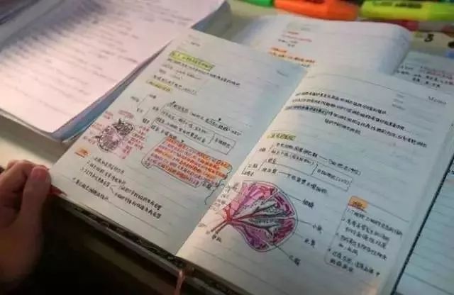 新奥管家婆免费资料2O24，长项释义解释落实