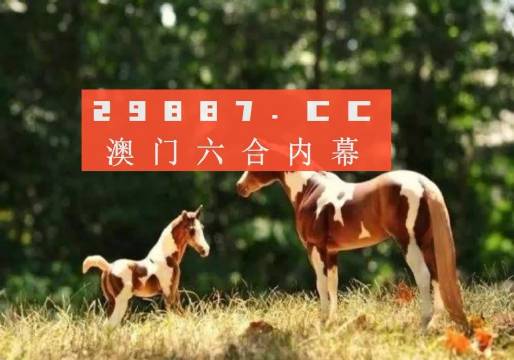 澳门今晚开特马四不像图，深入解读与见微释义