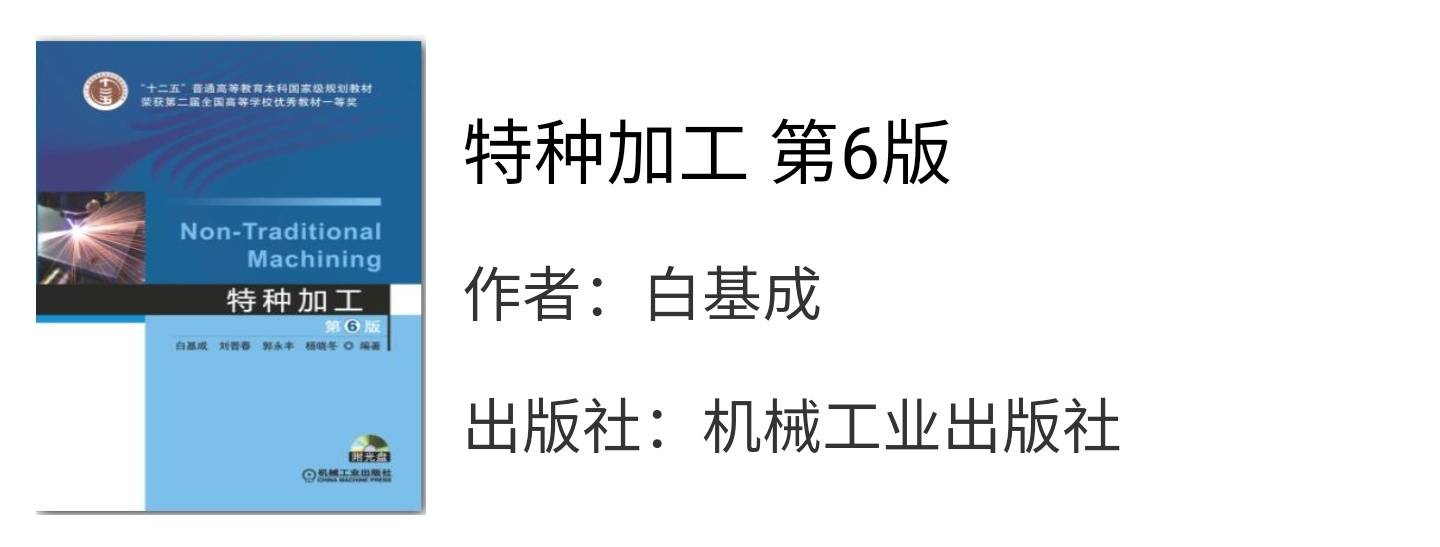 白小姐今晚特马期期准六，多重释义下的深度解读与落实