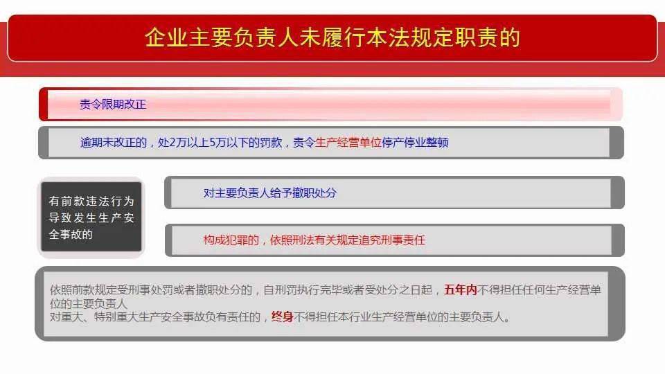 澳门335期资料查看与释义解释落实分析
