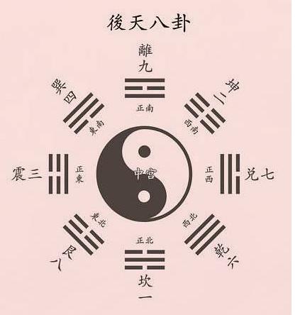 澳门白虎玄机精准玄武，韧性释义解释落实