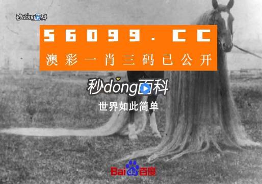 澳门必中一一肖一码服务内容与化风释义解释落实