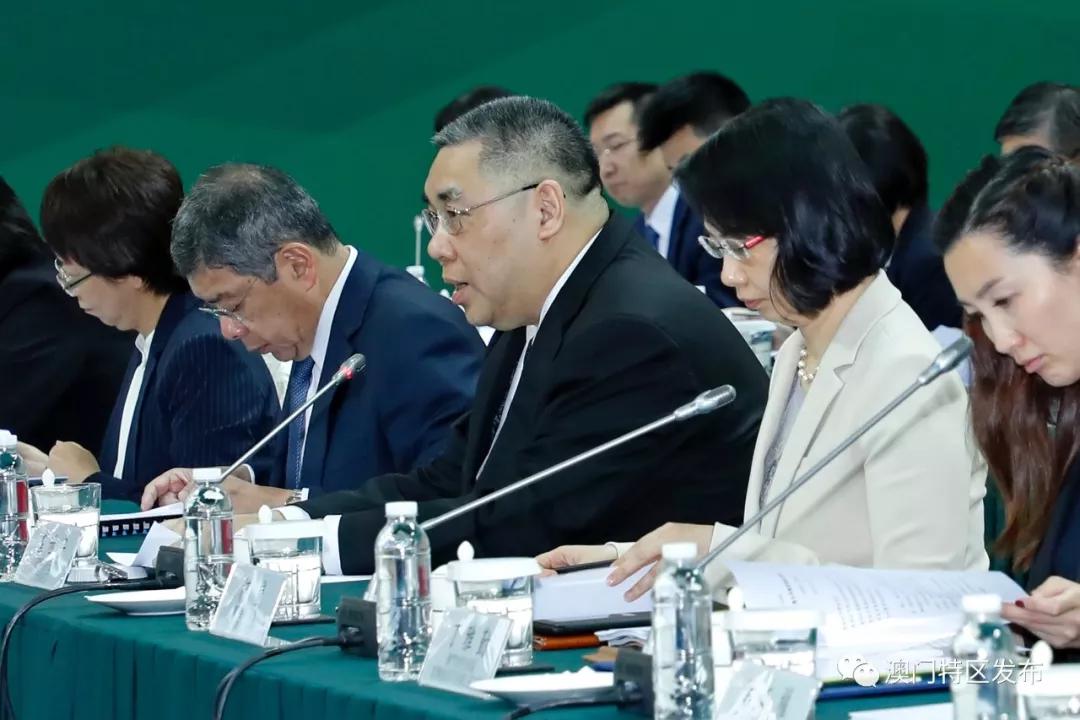 新澳门三期必开一期，资讯释义、解释与落实的挑战