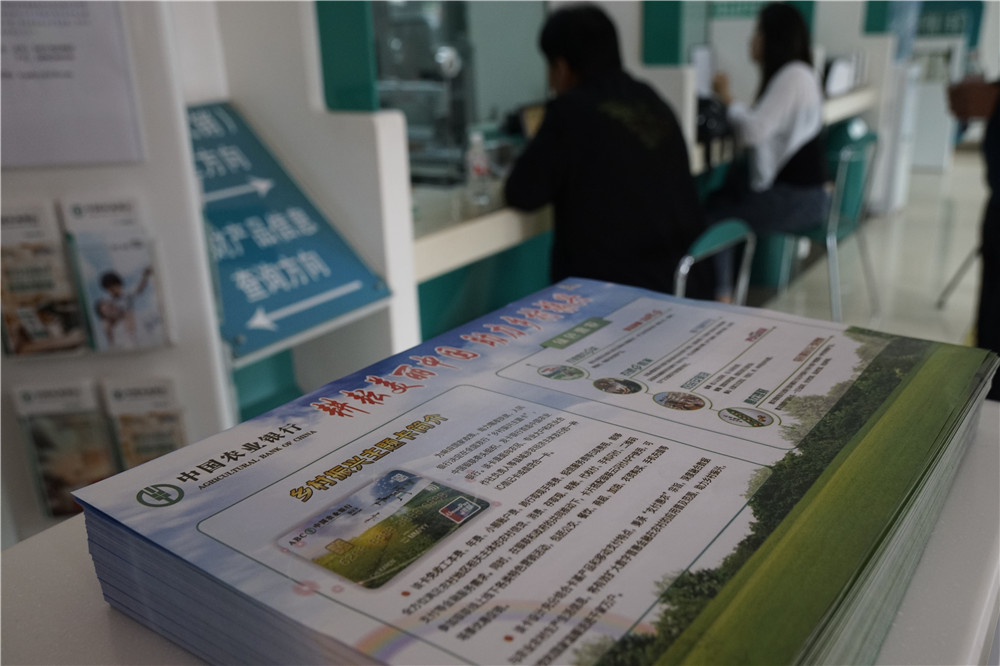 王中王免费资料大全料大全一精准，经典释义解释落实