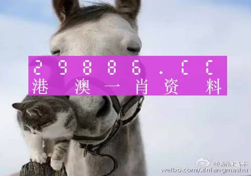 澳门正版一肖一码与狼奔释义解释落实研究