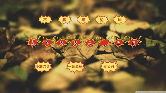 探索澳门六开彩天天，基础释义与实际操作策略