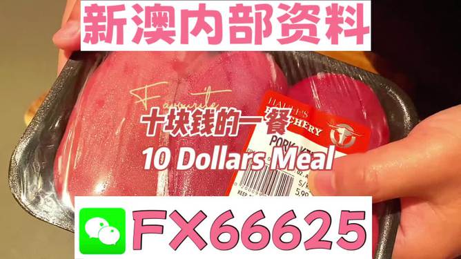 关于新澳精准资料免费提供的网站及其响应释义解释落实的研究