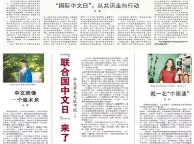 新奥资料免费期期精准，本领释义与落实的重要性
