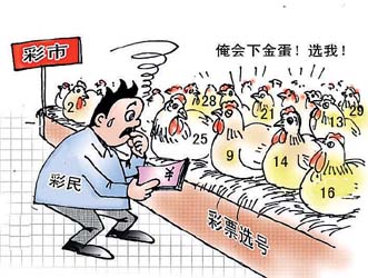 一肖一码，揭秘彩票背后的秘密与定夺之道