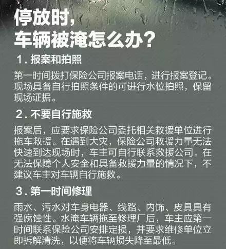 今晚澳门特马开什么，四不像的解读与释义落实