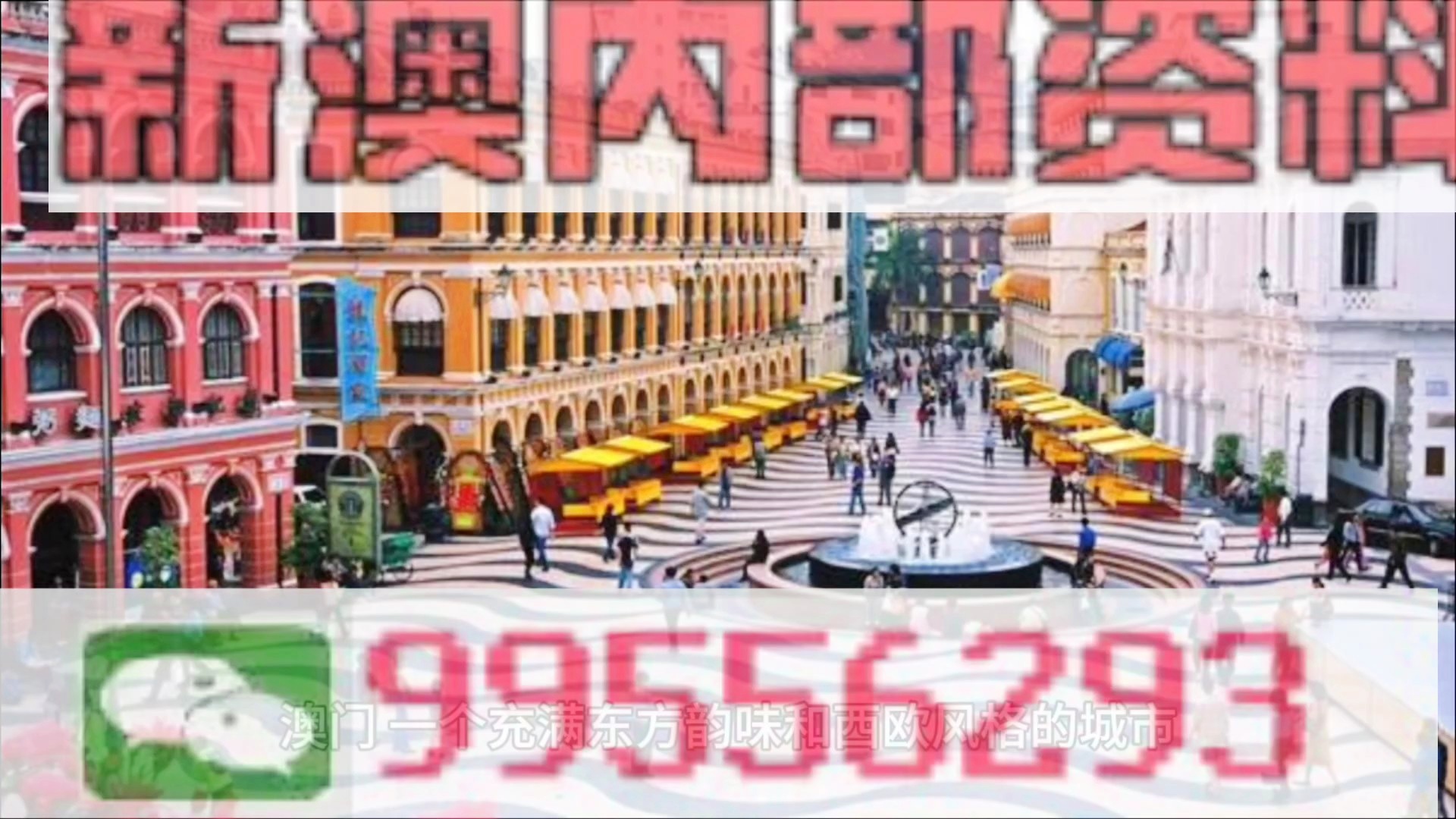 新澳天天开奖资料大全第103期，质量的释义、解释与落实