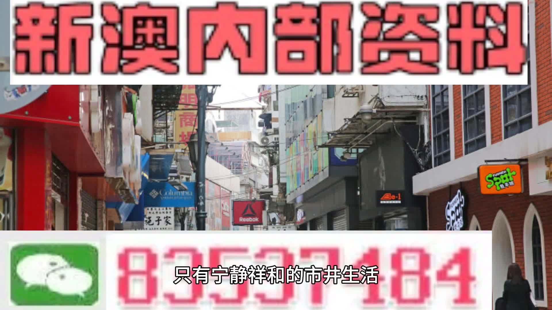 新澳门精准四肖期期中特公开，诠释释义、解释与落实