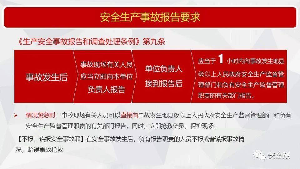 新澳好彩免费资料查询最新版本，巩固释义，解释落实