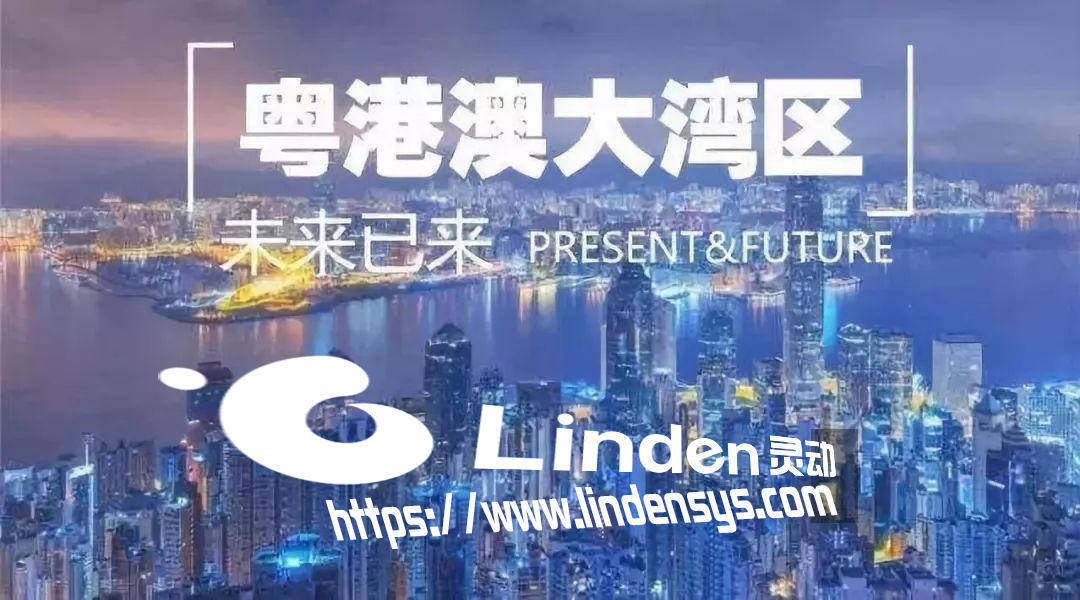 探索未来，澳门新机遇下的精准免费大全与晚生释义解释落实