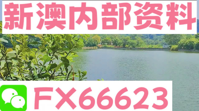 新澳精准资料免费提供网，透明释义、解释与落实