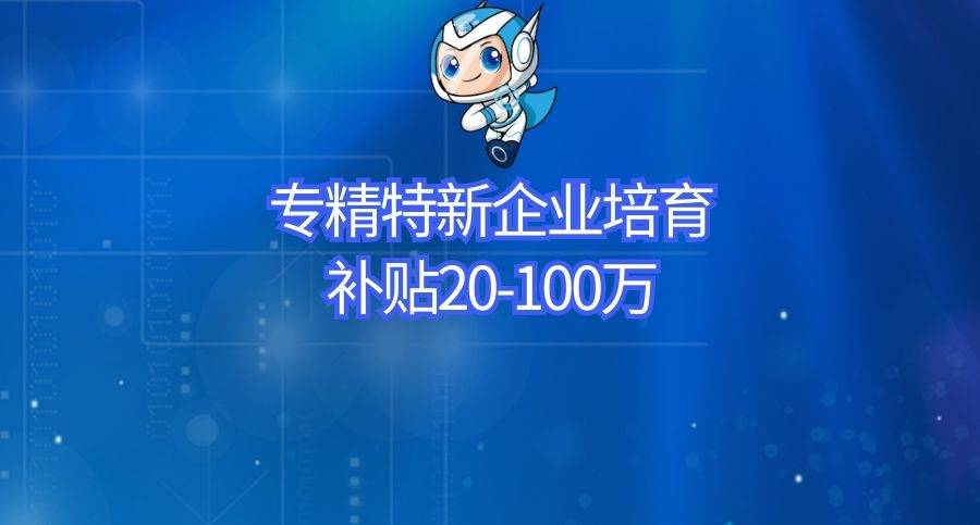 管家婆2025精准资料大全，释义解释与落实行动