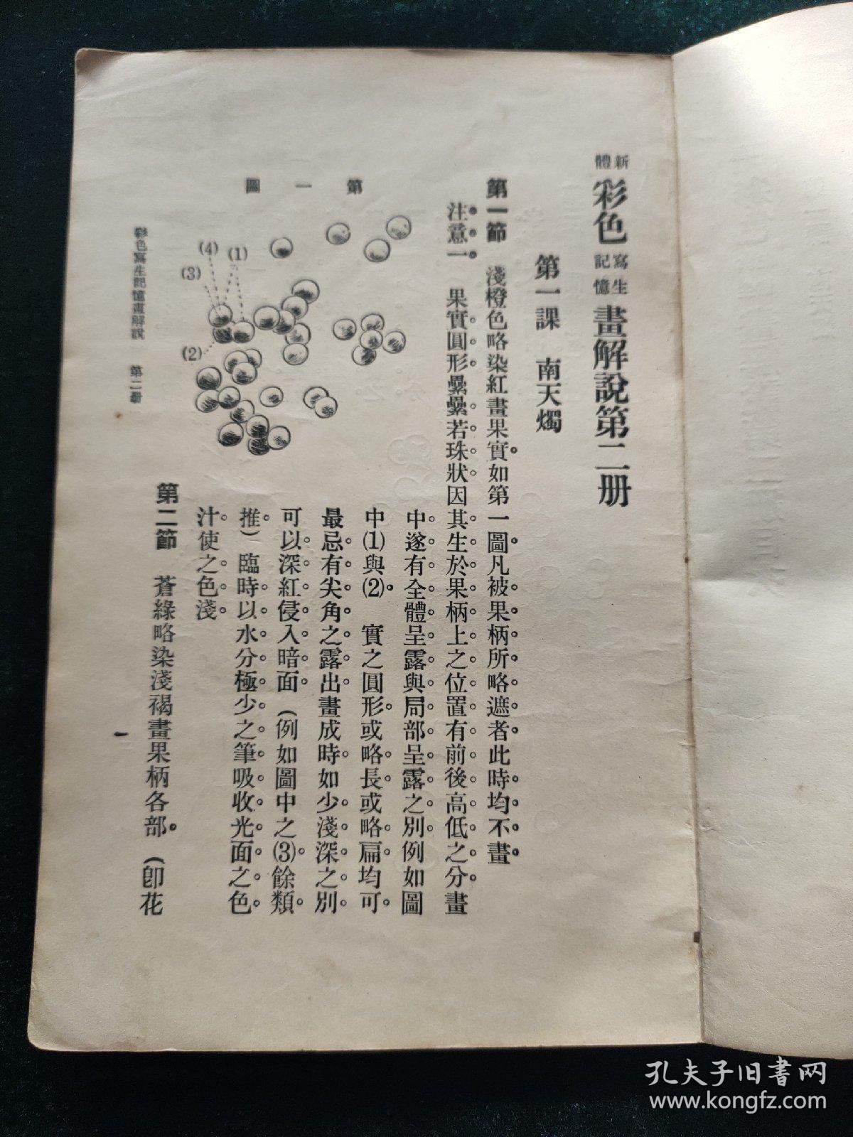 白小姐资料大全与奇缘四肖的机谋释义