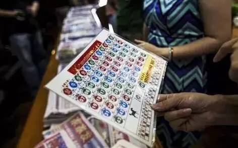 香港六合开奖结果及开奖记录分析（2023年），稳妥释义与落实策略
